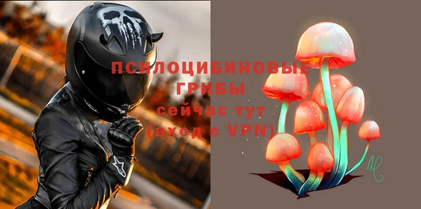 гидра Нея