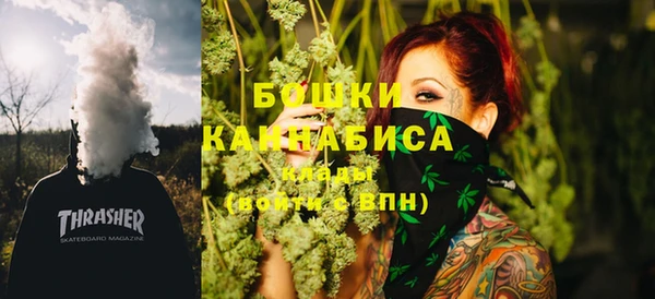 гидра Нея