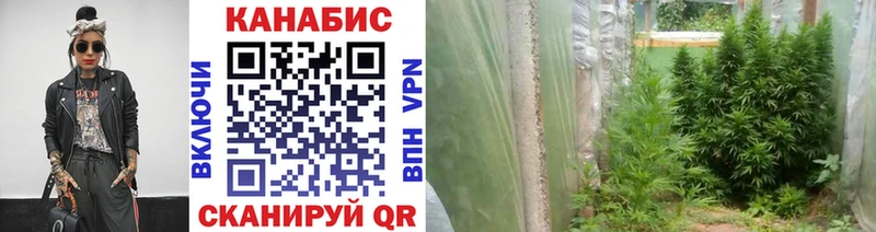 kraken как зайти  дарнет шоп  Миньяр  Бошки марихуана VHQ 